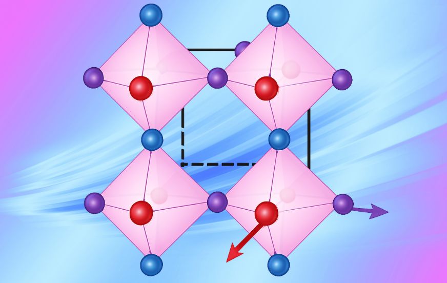 Matériaux antiferromagnétiques octaédriques : complexité émergente sous champ magnétique
