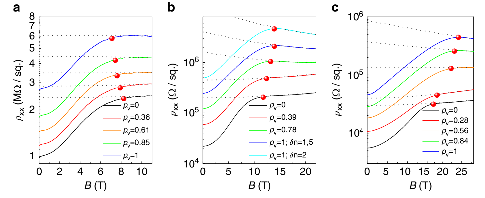 Spin polarization of a 2DEG as function of valley polarization and for different electron densities.