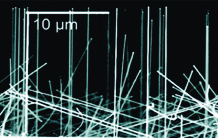 Nanofils de silicium : la bonne (re)combinaison